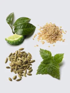 Hot Brioni Eau de Parfum Essentiel 100ml Green