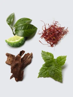 Sale Brioni Eau de Parfum Intense 100ml Black